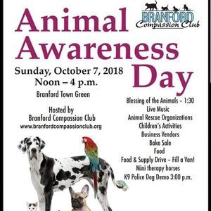 Meet your Posher, Rita